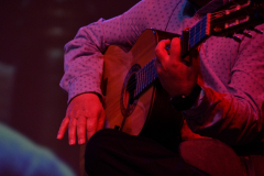 carnaval-miguelturra-careta-2026