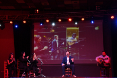 carnaval-miguelturra-careta-2026