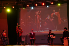 carnaval-miguelturra-careta-2026