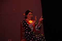 carnaval-miguelturra-careta-2026