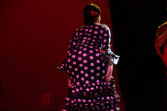 carnaval-miguelturra-careta-2026-214