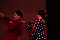 carnaval-miguelturra-careta-2026-216