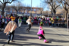 carnaval-miguelturra-voley-2018