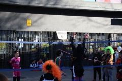 carnaval-miguelturra-voley-2018