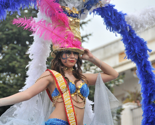 carnaval-miguelturra