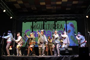 carnival-miguelturra-chirigotas