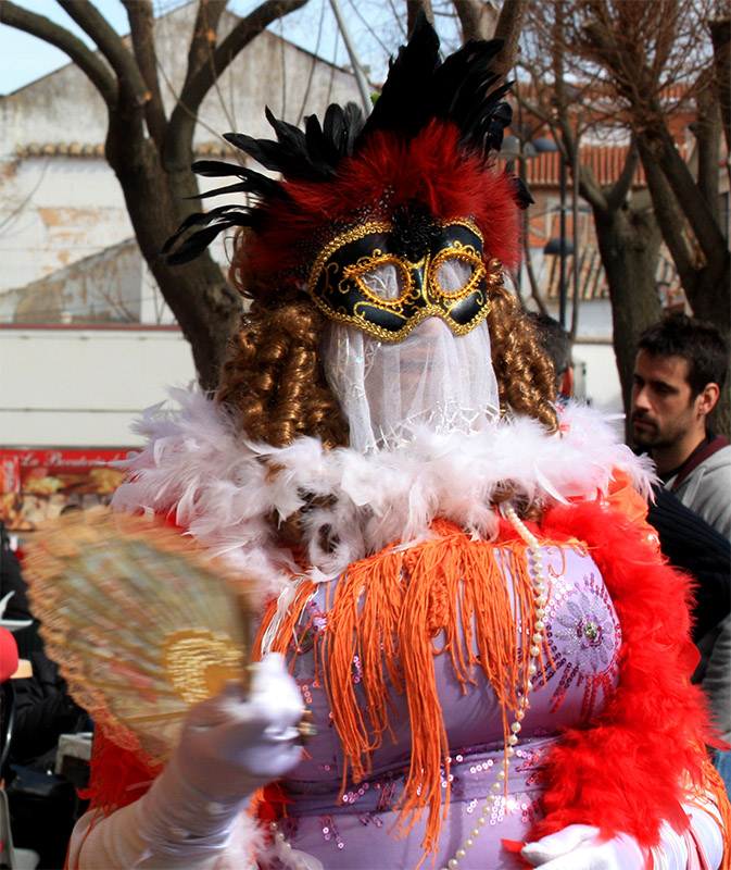 carnaval-miguelturra-3-premio-fotografia 2012