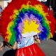 carnaval-miguelturra-desfile-carrozas-2014