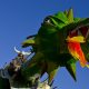 carnaval-miguelturra-desfile-carrozas-2014