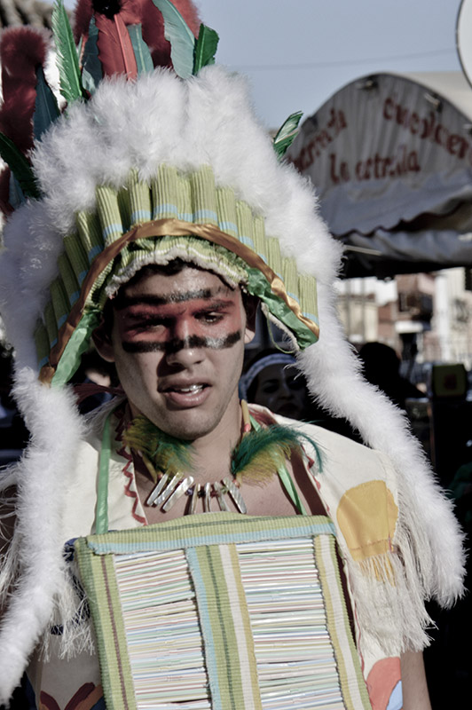 carnaval-miguelturra-desfile-carrozas-2014