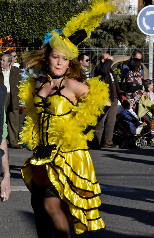 carnival-miguelturra-parade-floats-2014
