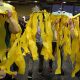 carnival-miguelturra-recycled-2018