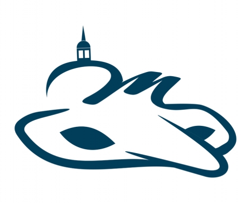 carmavaldemiguelturra.es